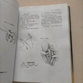 骨科手术图谱：上肢 下肢 脊柱（三册合售）