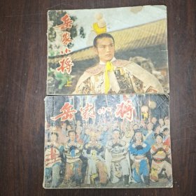 岳家小将 上下全