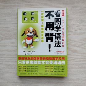 看图学语法不用背！
