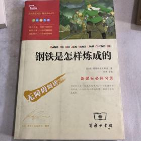 钢铁是怎样炼成的