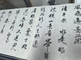 当代知名女青年书法家、画家，中国书法家协会会员, 梅丽君 尺寸186/33厘米 7