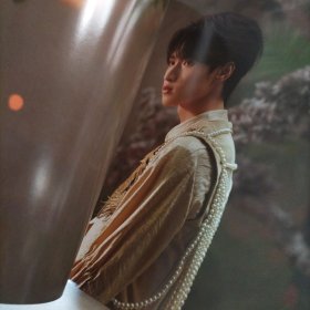 严浩翔柒朱雀在后（1本画册，2碟光盘，6张明信片）