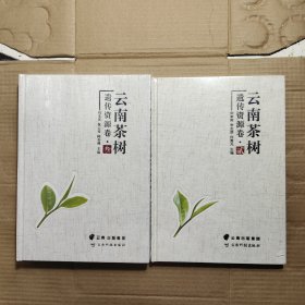 云南茶树遗传资源卷 贰叁