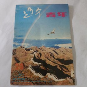 辽宁青年1989.20