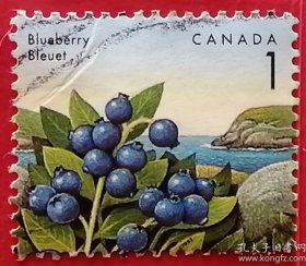 加拿大邮票 1992年 可食用莓 蓝莓 水果 植物 7-1 信销