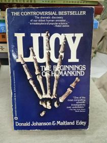 lucy the begining of humankind