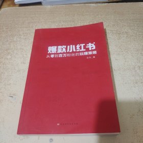 爆款小红书：从零到百万粉丝的玩赚策略