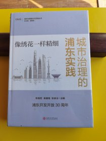 像绣花一样精细：城市治理的浦东实践