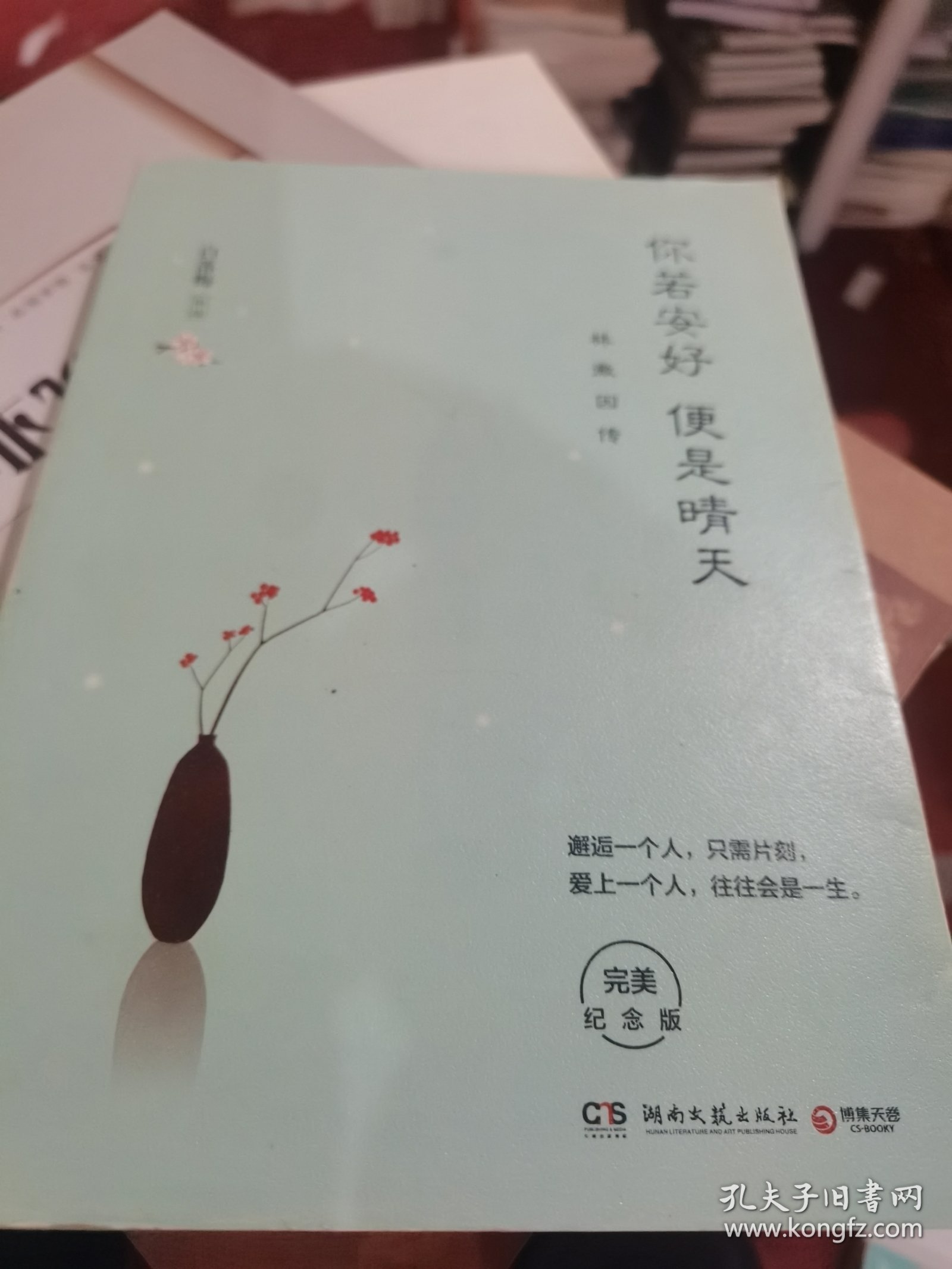 你若安好便是晴天：林徽因传