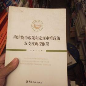 构建货币政策和宏观审慎政策双支柱调控框架