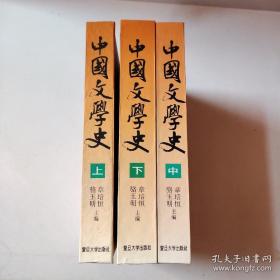 中国文学史（上中下）精装大32开