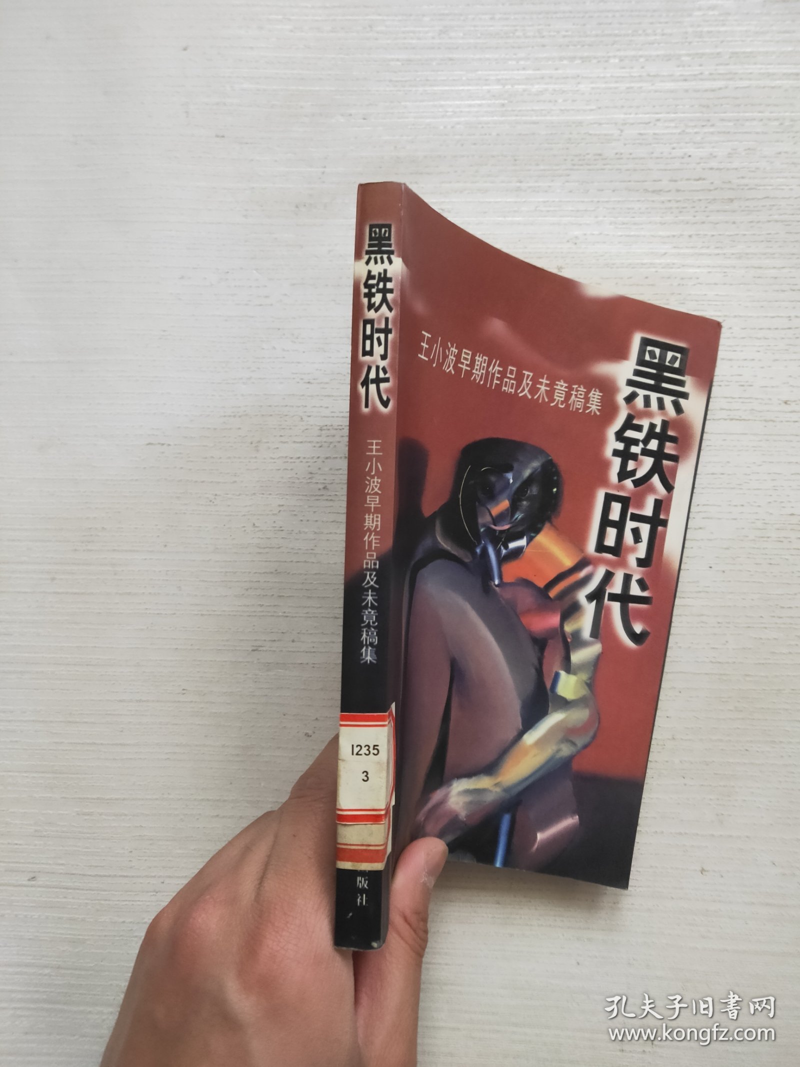 黑铁时代：王小波早期作品及未竟稿集