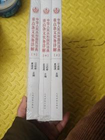 中华人民共和国民法典重点条文实务详解(全3册)