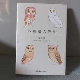 我们迷人的鸟