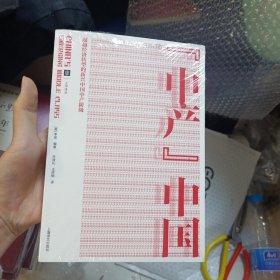 中产中国：超越经济转型的新兴中国中产阶级