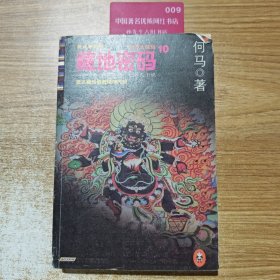 藏地密码：唐卡典藏版10·神圣大结局