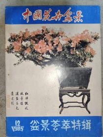 中国花卉盆景 1985年第12期【盆景荟萃特辑】