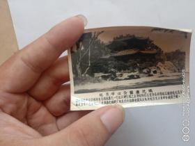 五六十年代老照片北京中山公园唐花坞