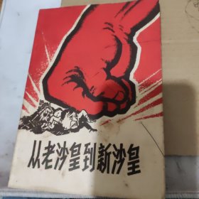 从老沙皇到新沙皇