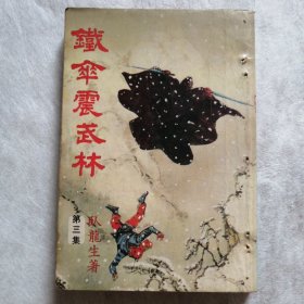 铁伞震武林（三）