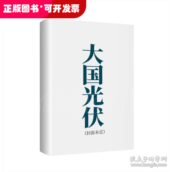 大国光伏：中国王牌制造业的突围与崛起（上、下）