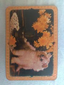 1987年历卡片