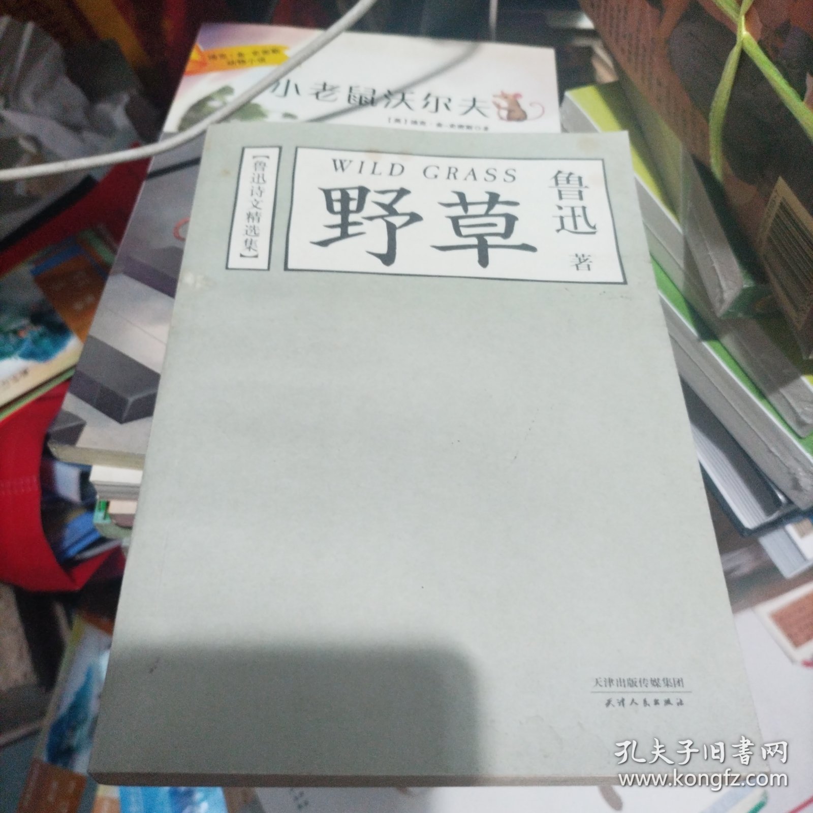 野草：鲁迅诗文精选集W14大32开
