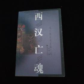 中国文化史探秘丛书 -西汉亡魂