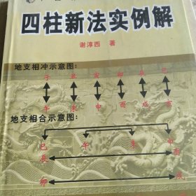 四柱新法实例解