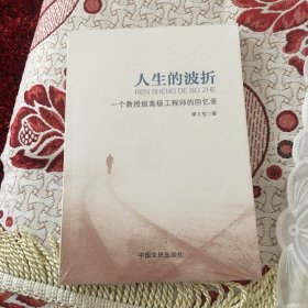 人生的波折 : 一个教授级高级工程师的回忆录