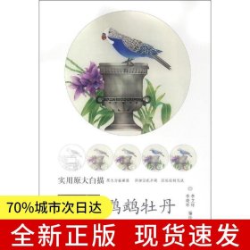 設(shè)色鸚鵡牡丹