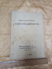 92年股份制资料一册！乡镇股份合作企业操作实例汇编   少见 16开123页