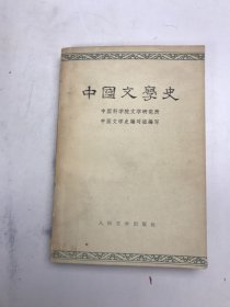 中国文学史（3）