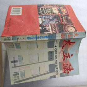 大立法:一个记者眼中的中国立法进程