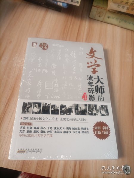 文学大师的流年碎影（亲历 亲闻 自摄 自藏 为大师造像，为师友留真.80年代中国文化史拾遗。正史之外的私人别史）