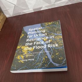 Spatial planning for urban resilience in the face of the flood risk