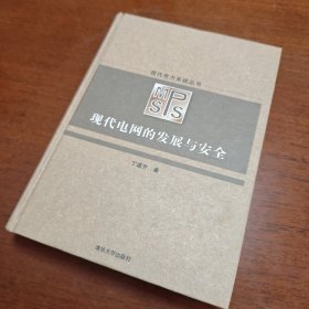 现代电网的发展与安全