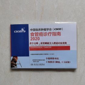 中国临床肿瘤学会（CSCO）食管癌诊疗指南2020