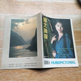 湖北画报1996.5【本期包括基层党员干部的榜样-吴天祥、中国的核潜艇专家黄旭华、学者诗人书法家吴丈蜀、神龙腾飞在今朝（神龙富康轿车）、飓风行动-武汉市严打纪实、湖北文艺家在三峡、等内容】