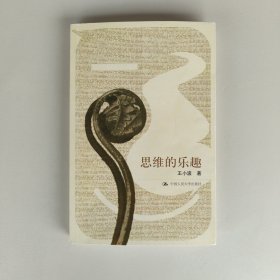 思维的乐趣