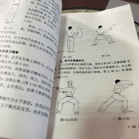 鹰爪翻子拳