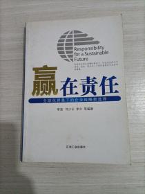 赢在责任：全球化背景下的企业战略