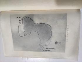 日文版、現代醫學大辭典《内科學篇（一)》