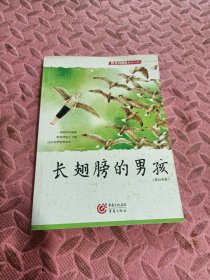 长翅膀的男孩