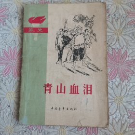 家史：青山血泪