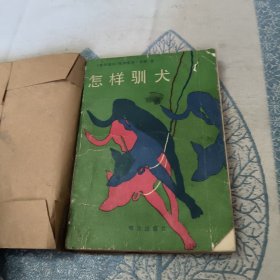 怎样驯犬