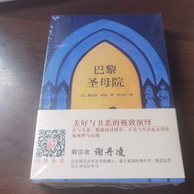 巴黎圣母院 世界名著典藏 名家全译本 外国文学畅销书