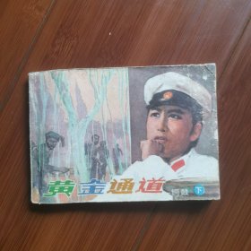 电视剧连环画：铜鼓（下）一一黄金通道