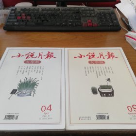 小说月报大字版2019.4，2019.9，计2本合售。