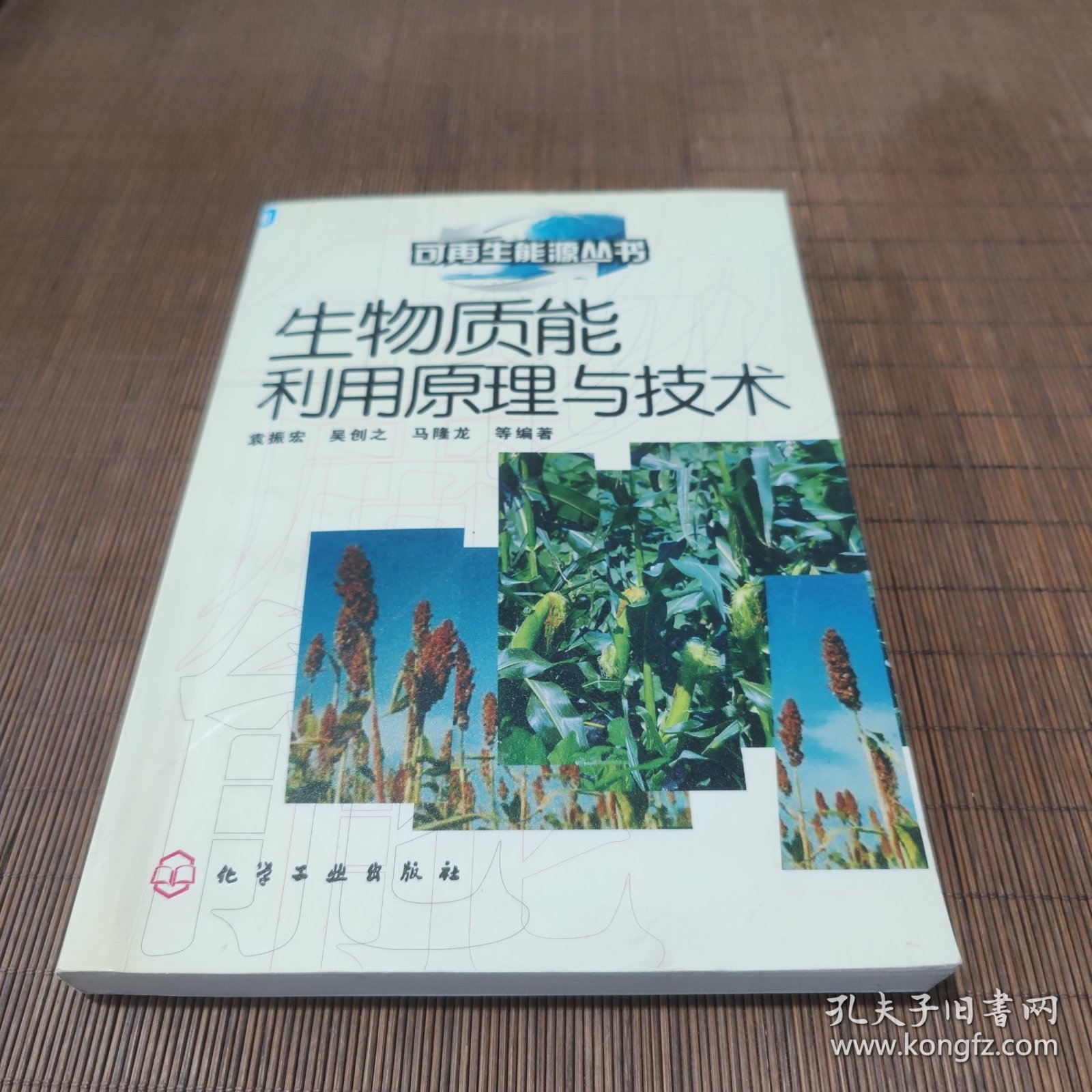 生物质能利用原理与技术